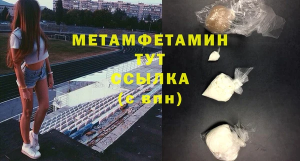 гидра Надым