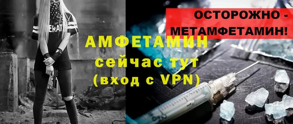 гидра Беслан