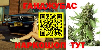 гидра Берёзовский