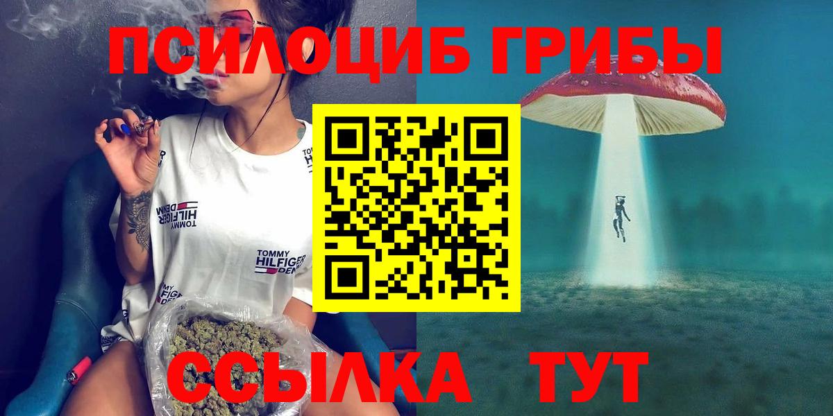 Котовск  Галлюциногенные грибы прущие грибы  Вход с VPN 