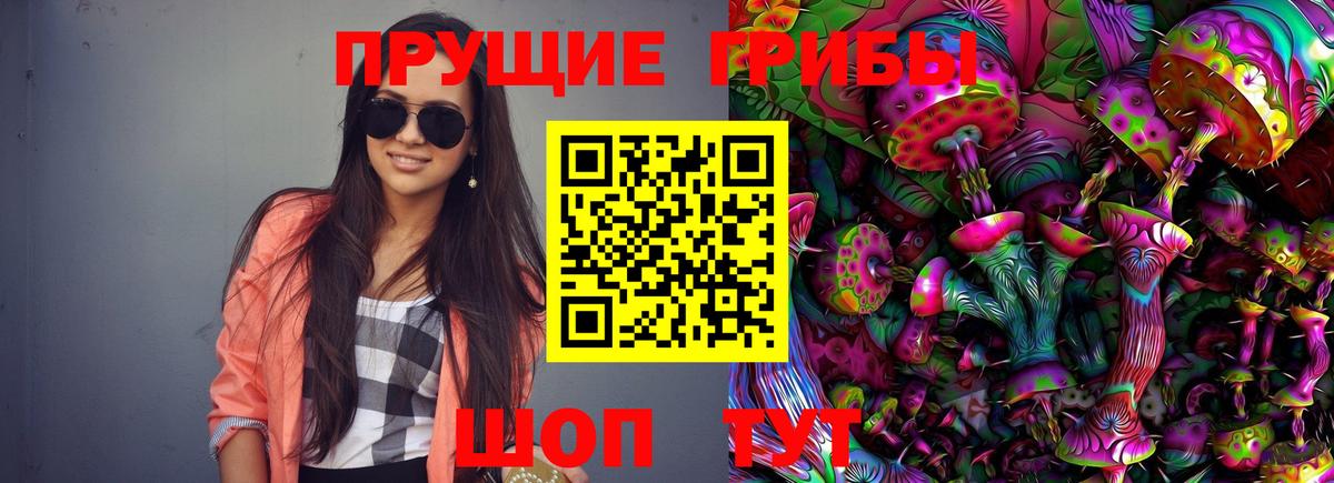 Псилоцибиновые грибы MAGIC MUSHROOMS Котовск