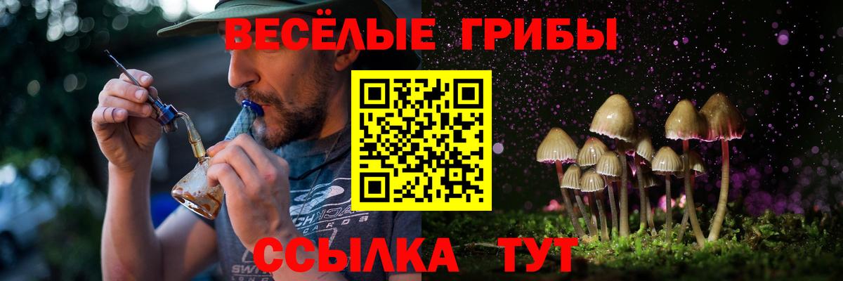 Галлюциногенные грибы прущие грибы Котовск