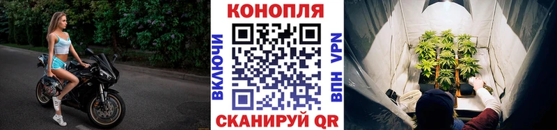 Канабис сатива  цены наркотик  Котовск 